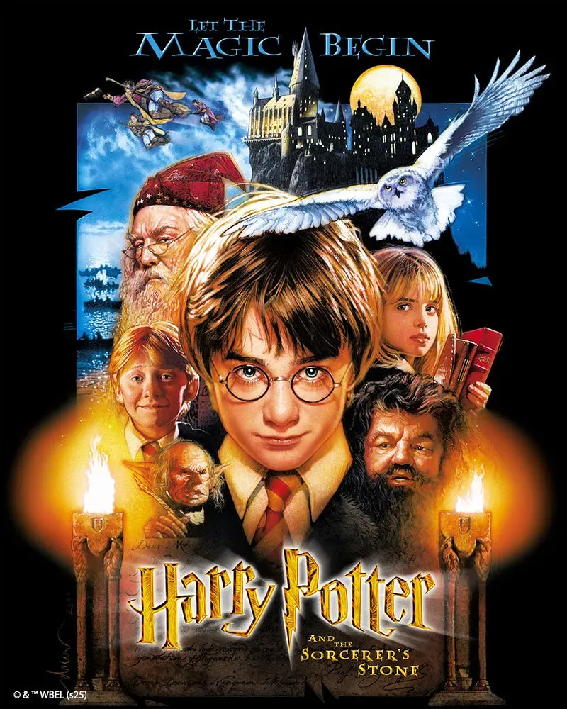Figured'Art Harry Potter Steen der Wijzen diamond painting