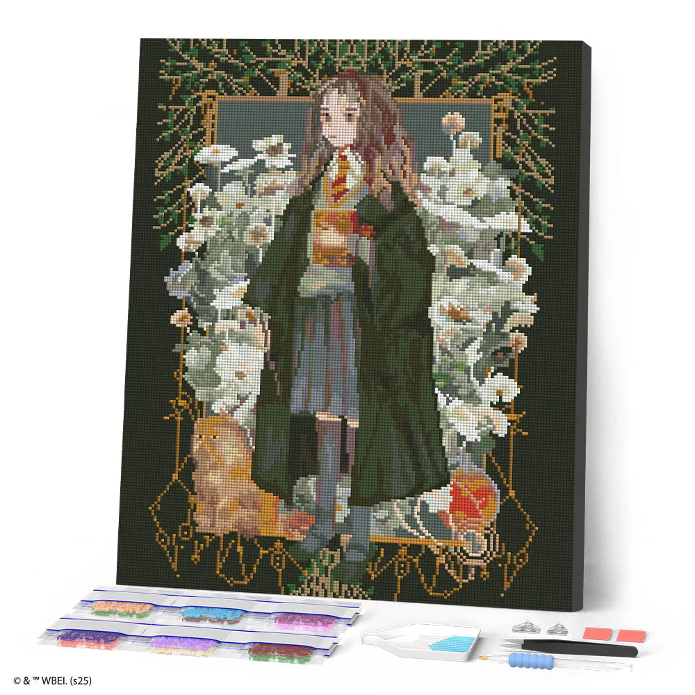 Figured'Art Hermione Granger Yume diamond painting 40x50 ingelijst