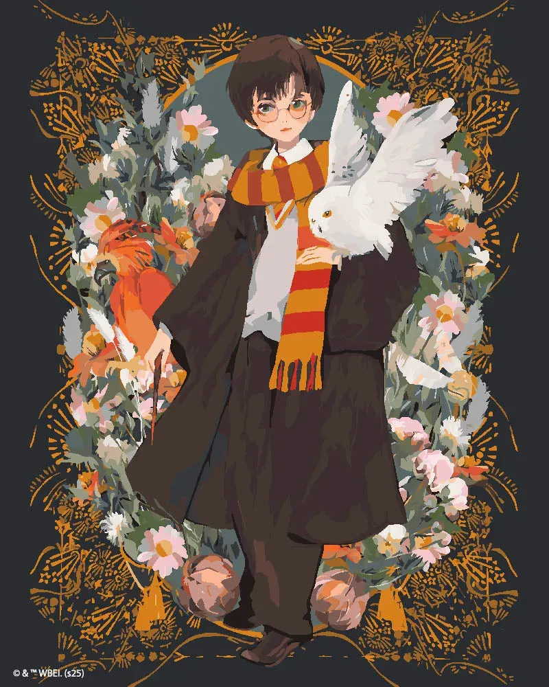 Figured'Art Harry Potter Yume schilderen op nummer 40x50cm gevorderd