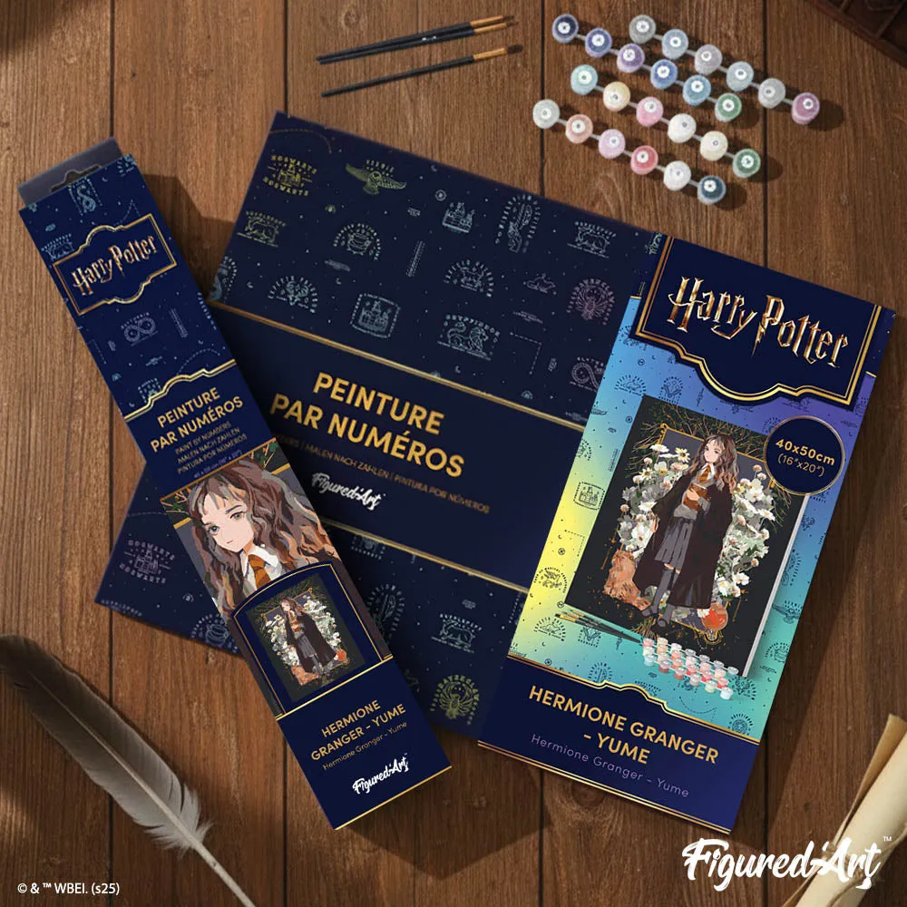 Figured'Art Harry Potter Hermione Granger Yume schilderen op nummer 40x50 cm