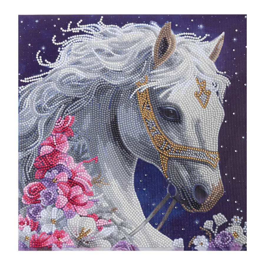 Craft Buddy Crystal Art Mystic Beauty canvas 30x30 cm partial
