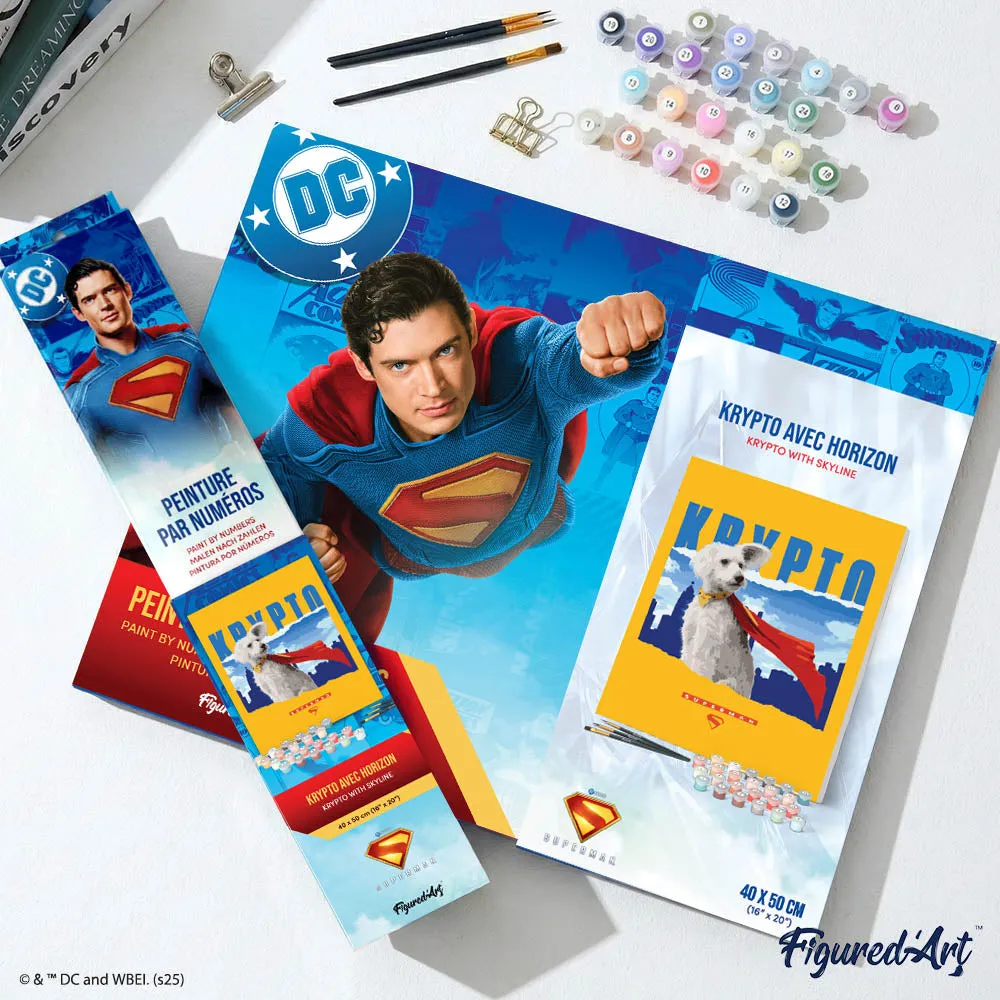 Figured'Art Superman Krypto schilderen op nummer 40x50 DC collector
