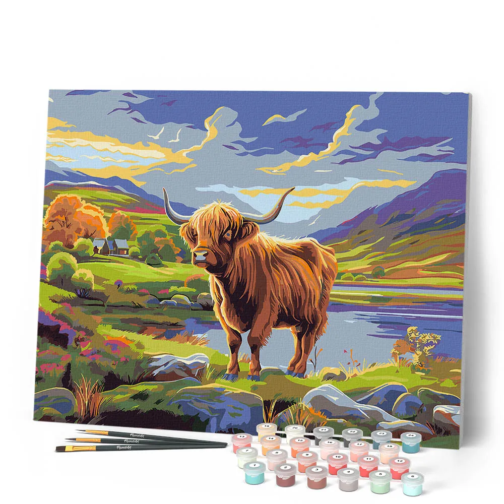 Figured'Art Schotse Hooglander schilderen op nummer 40x50 cm koe