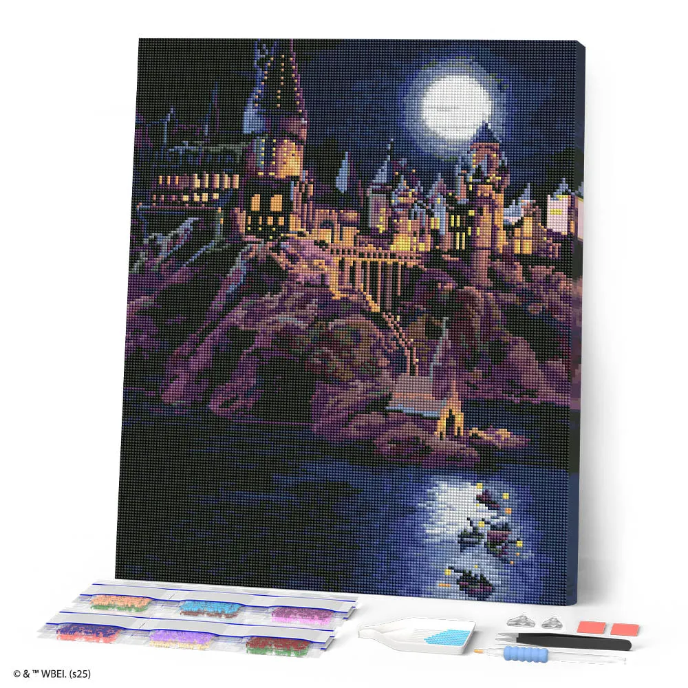 Figured'Art Hogwarts Kasteel diamond painting 40x50cm ingelijst nacht