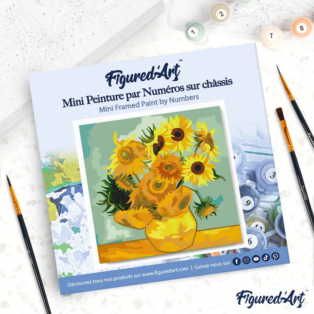 Figured'Art Mini Van Gogh Zonnebloemen schilderen op nummer 20x20cm met frame