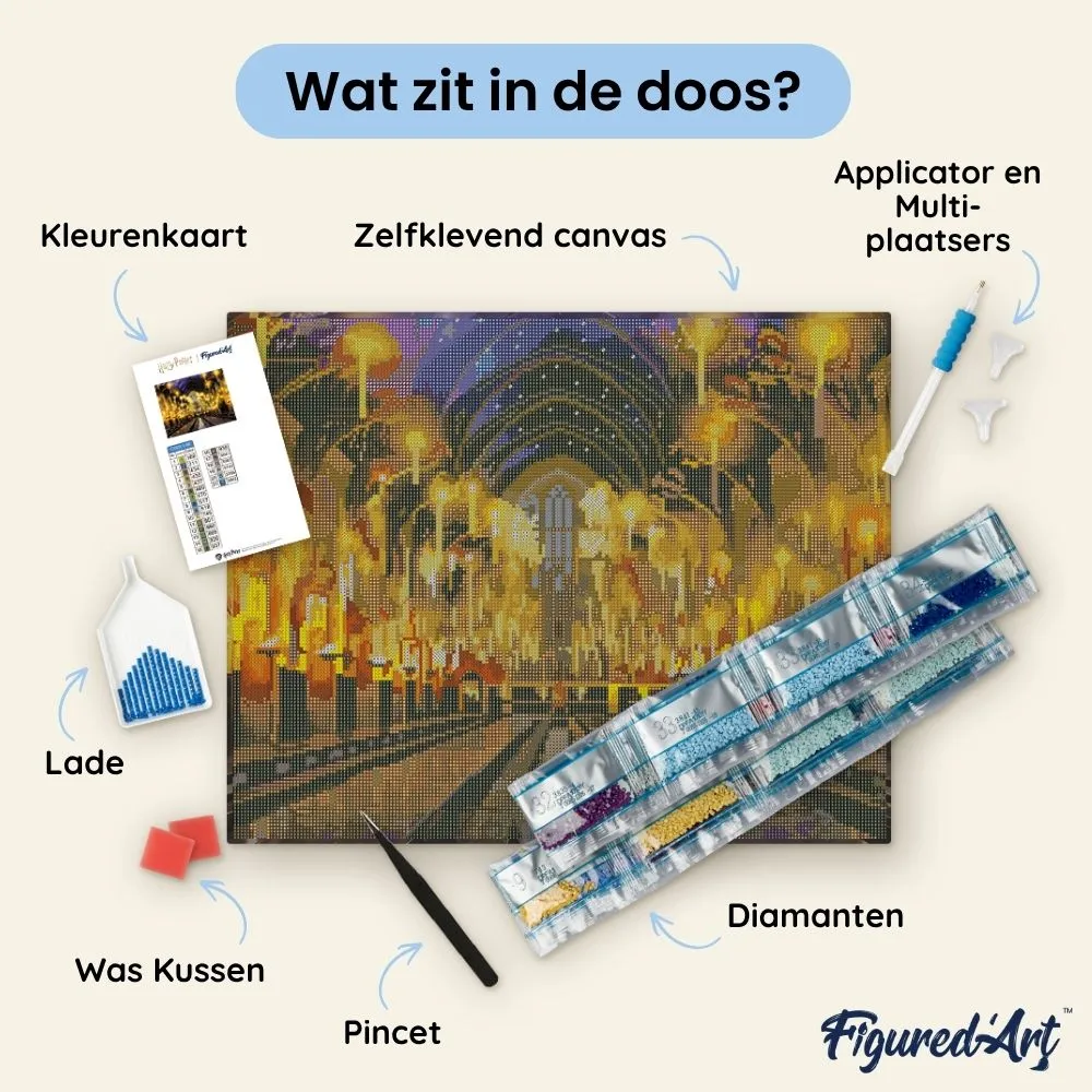 Figured'Art Grote Zaal Harry Potter diamond painting 40x50cm ingelijst
