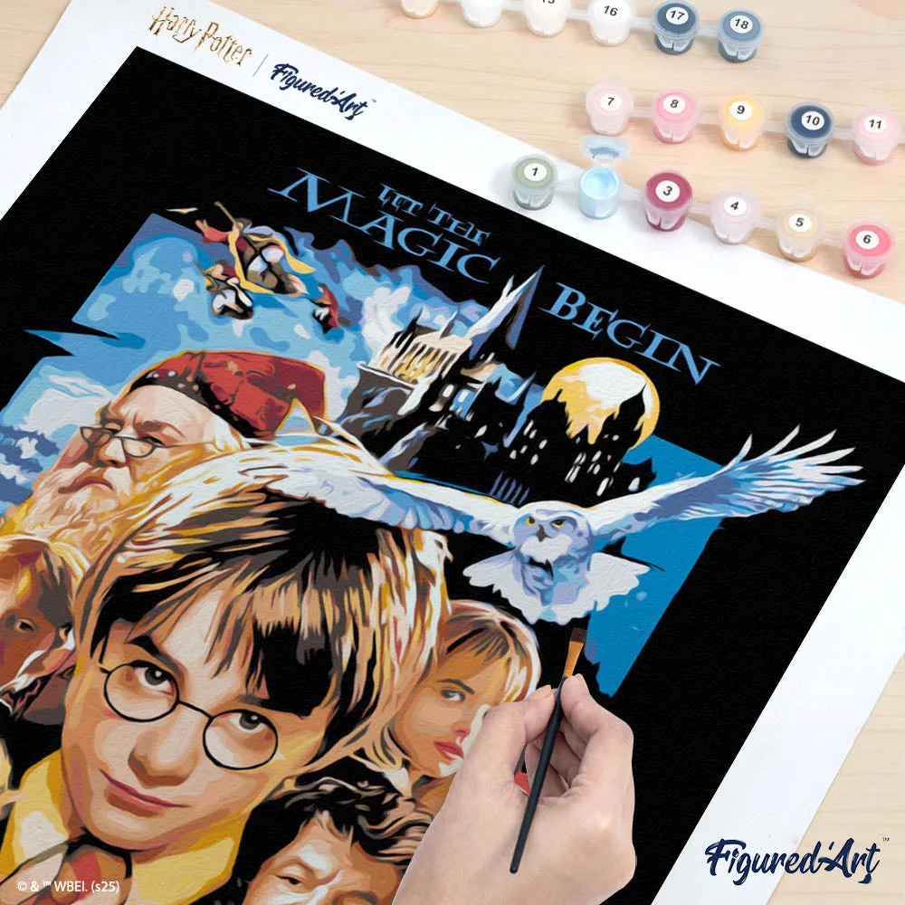 Figured'Art Harry Potter en de Steen der Wijzen Poster schilderen op nummer 40x50 zonder lijst