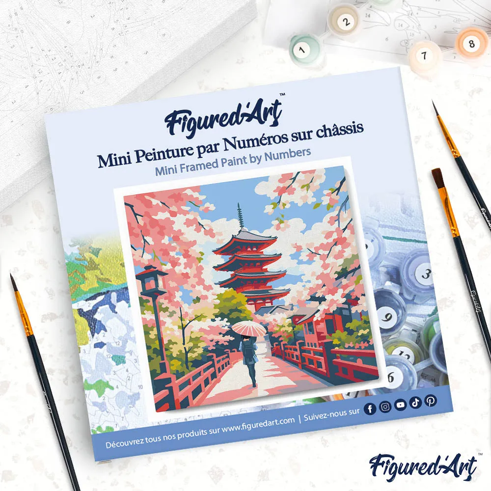Figured'Art Kyoto in Bloei schilderen op nummer 20x20cm met frame