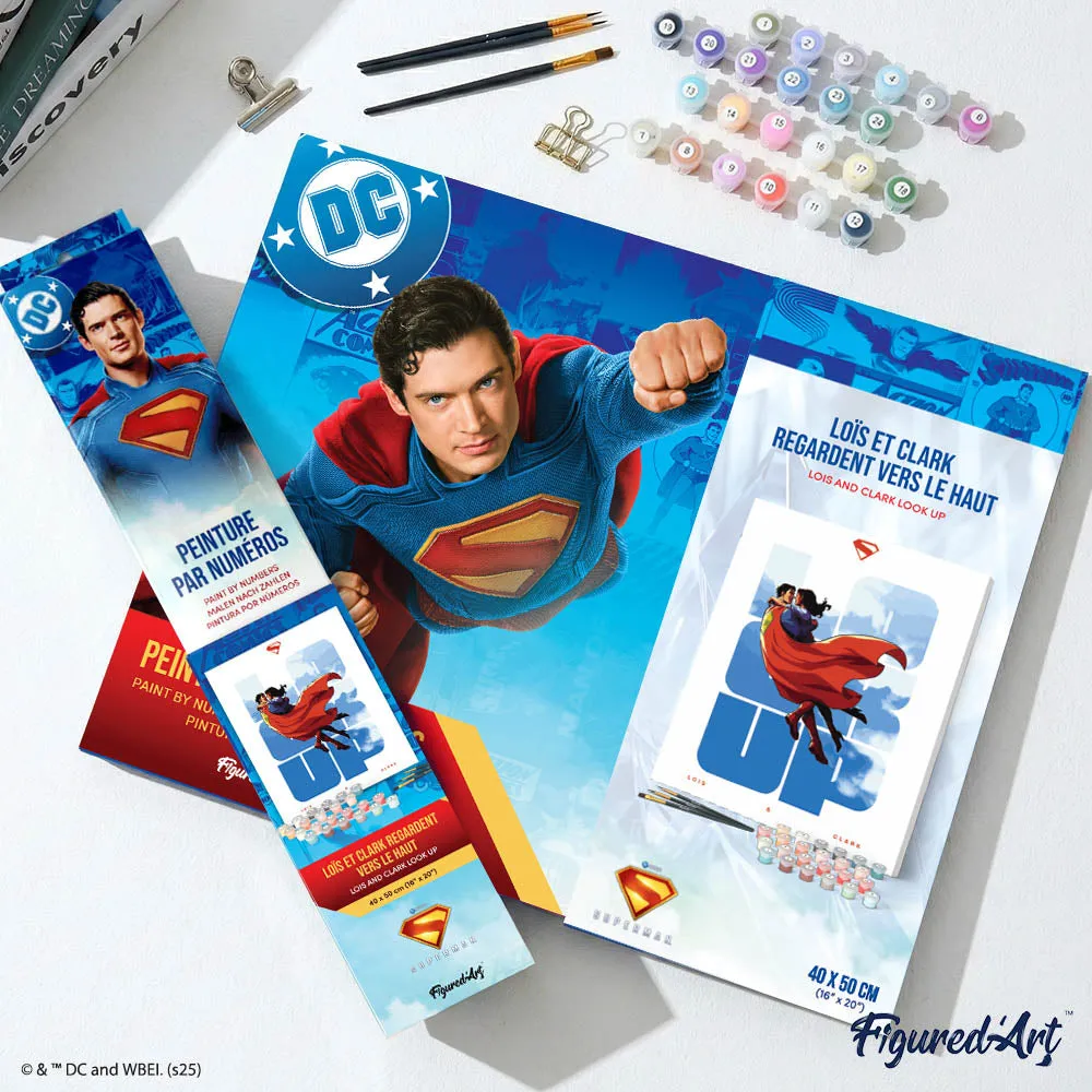 Figured'Art Superman Lois en Clark schilderen op nummer 40x50 cm eenvoudig