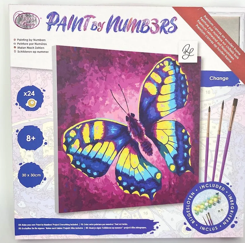 Craft Buddy Paint by Numbers Change Rachel Froud canvas 30x30cm