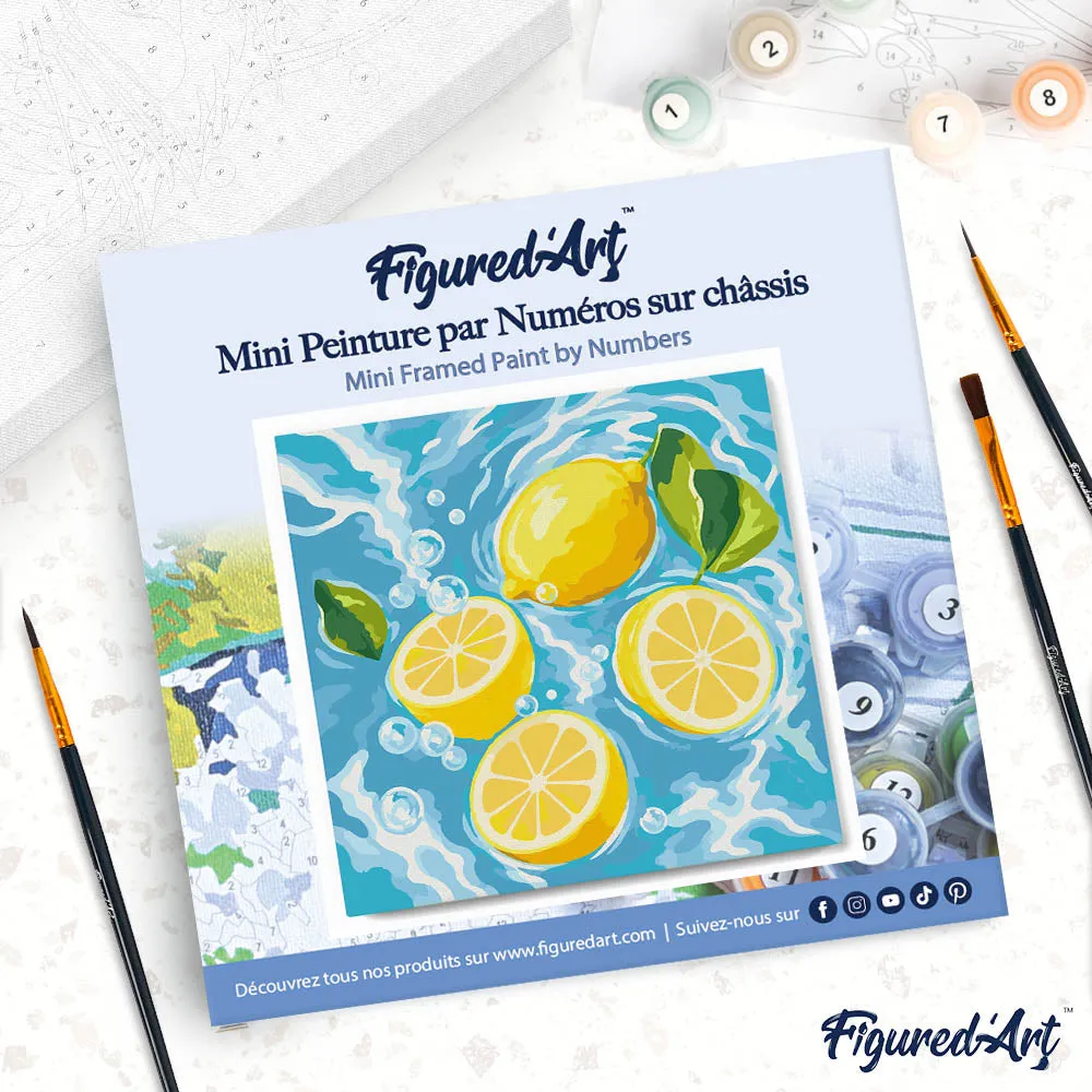 Figured'Art Mini Citrusbries schilderen op nummer 20x20cm met frame eenvoudig