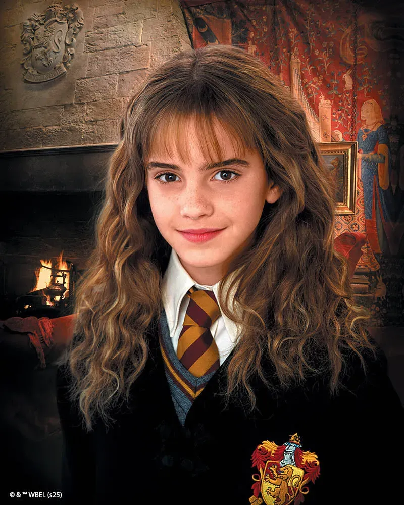 Figured'Art Harry Potter Hermione Granger diamond painting 40x50 cm