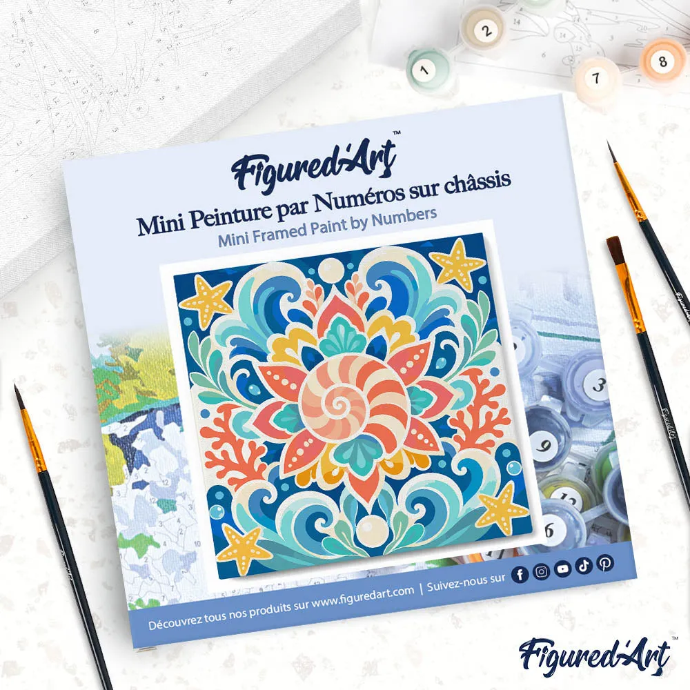 Figured'Art Schelpenmandala Schilderen op Nummer 20x20 cm Frame
