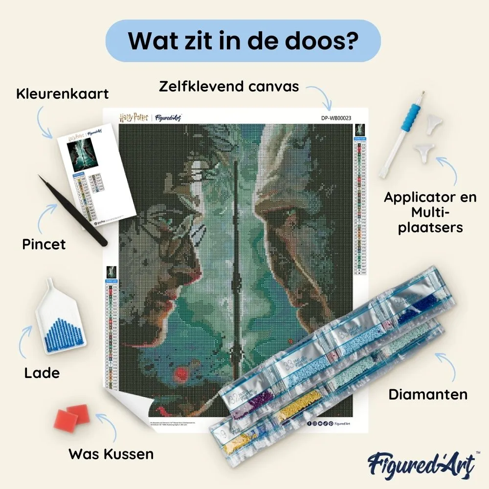 Figured'Art Harry Potter tegen Voldemort diamond painting 40x50cm