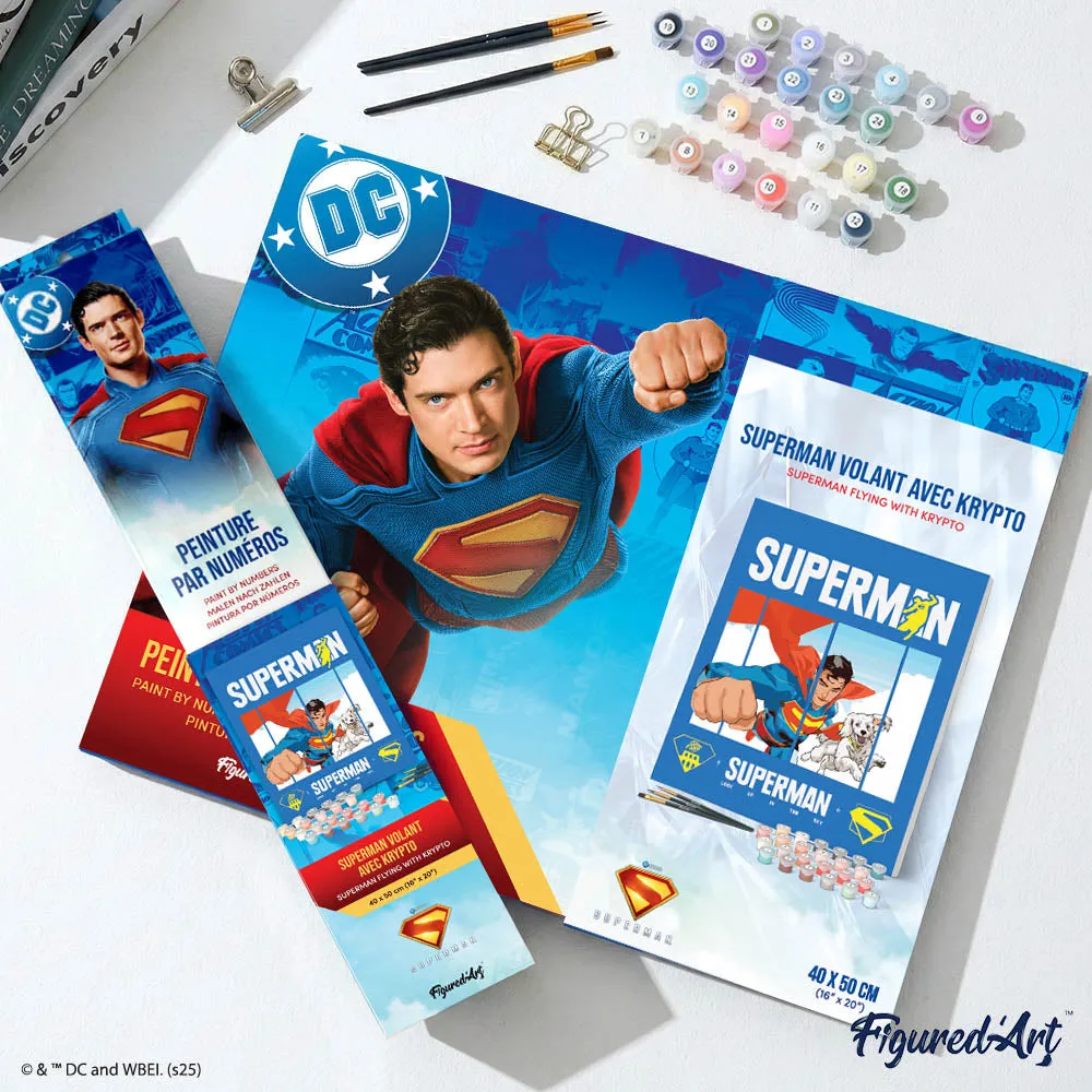 Figured'Art Superman Krypto schilderen op nummer 40x50cm DC