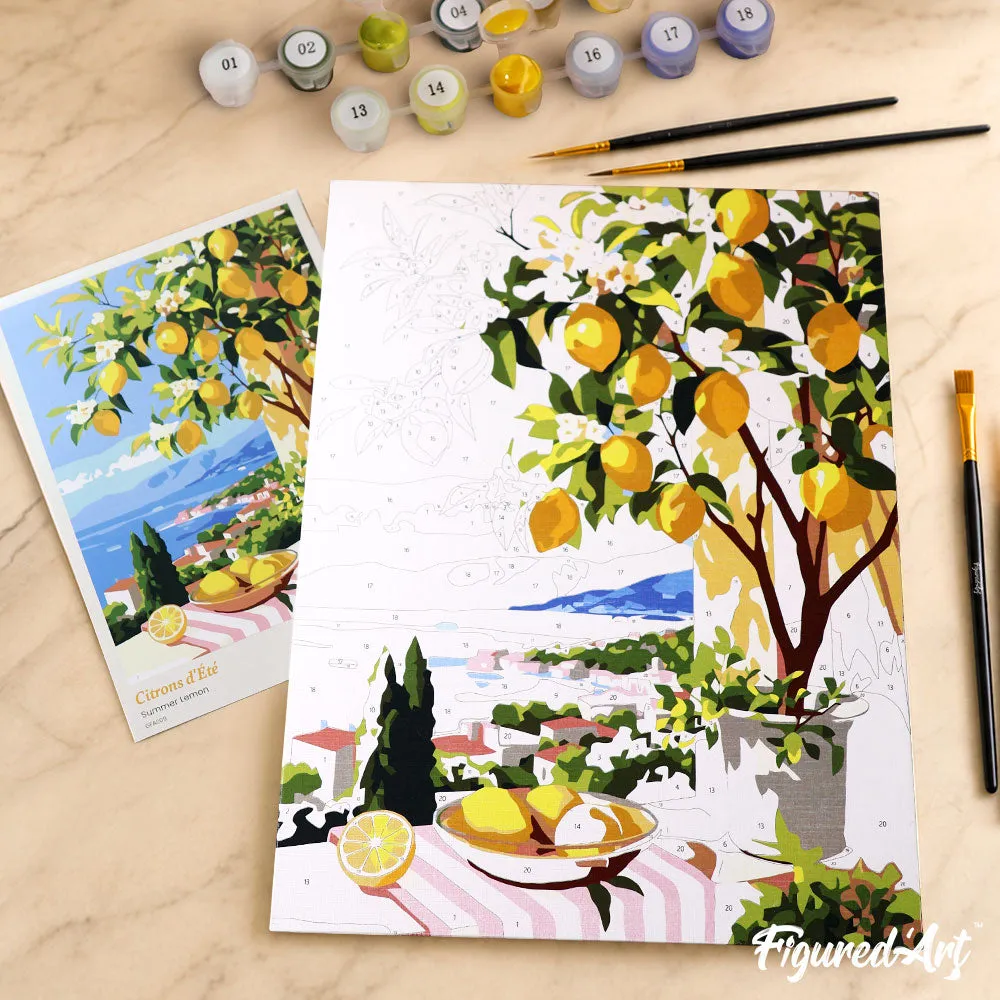 Figured'Art Zomerse Citroen schilderen op nummer cadeauset paneel zomer