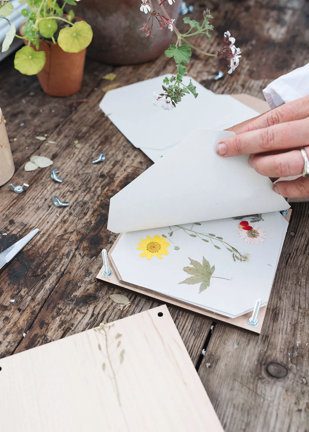 Studio Wald Botanical Gift Set 06 bloemenpers boek set