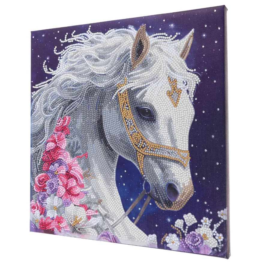 Craft Buddy Crystal Art Mystic Beauty canvas 30x30 cm partial
