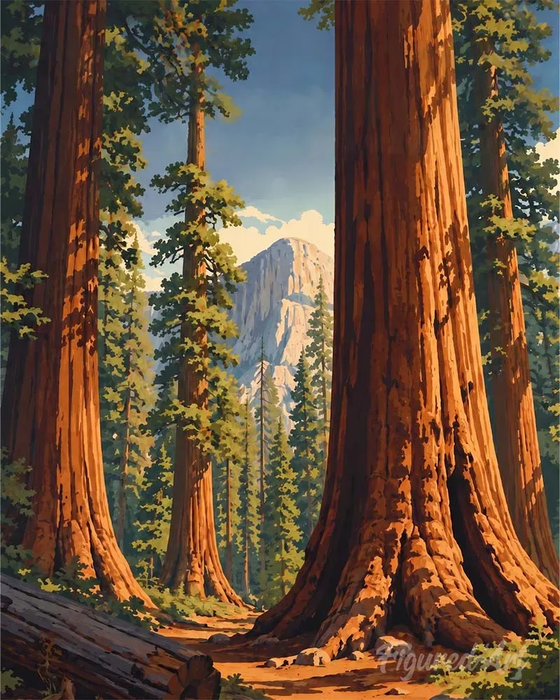 Figured'Art Yosemite Mariposa Grove diamond painting 40x50cm full