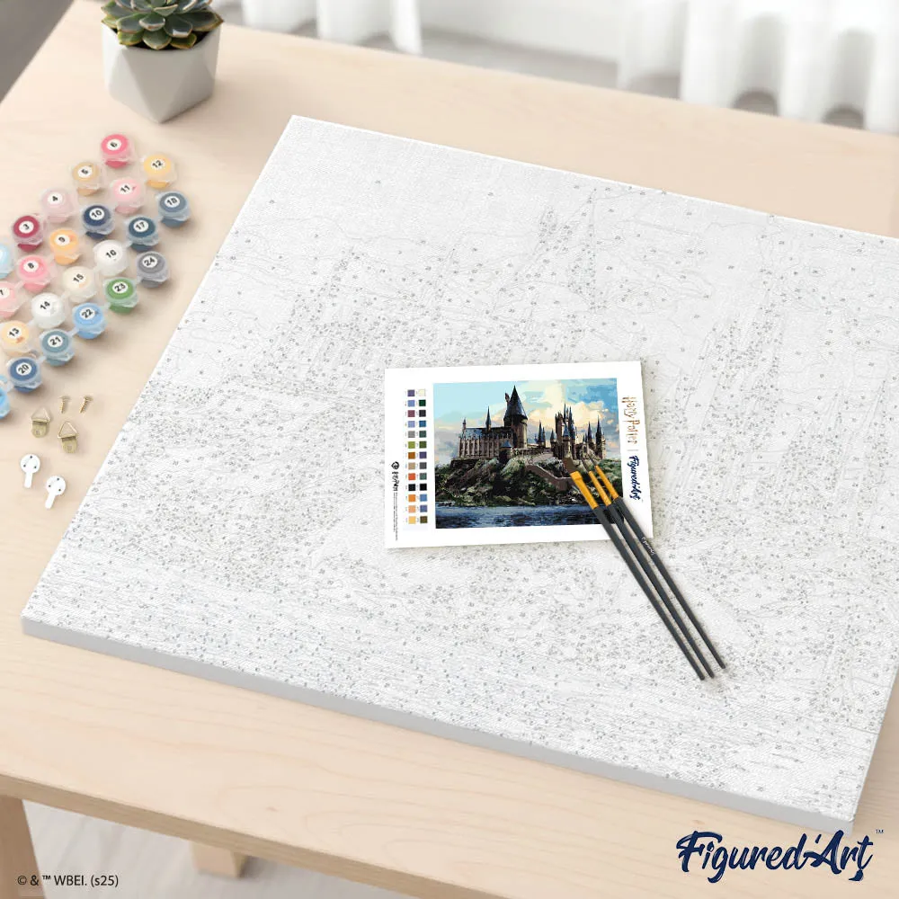 Figured'Art Harry Potter Hogwarts schilderen op nummer 40x50cm