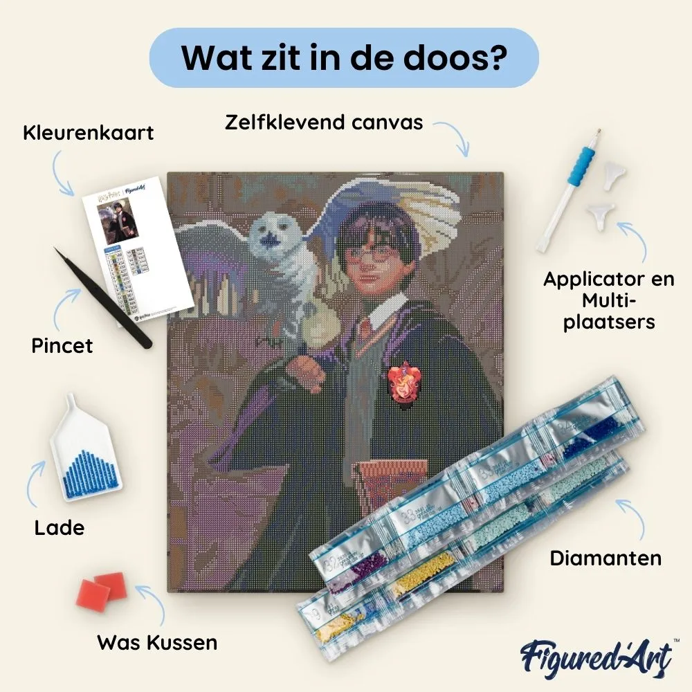 Figured'Art Harry Potter en Hedwig diamond painting 40x50 ingelijst