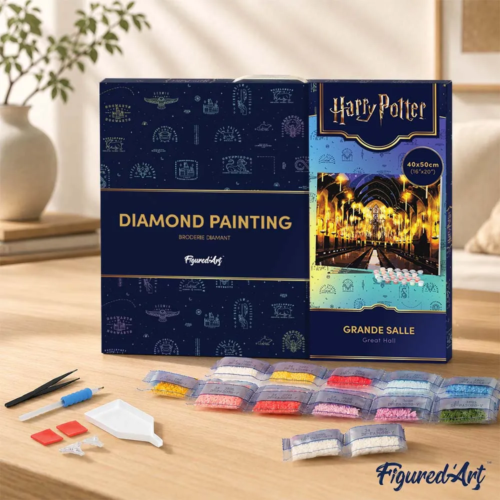 Figured'Art Grote Zaal Harry Potter diamond painting 40x50cm ingelijst