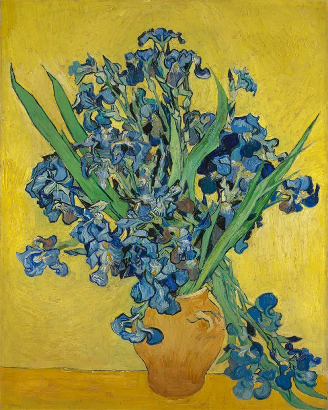 Figured'Art Vaas met Irissen Van Gogh diamond painting full drill