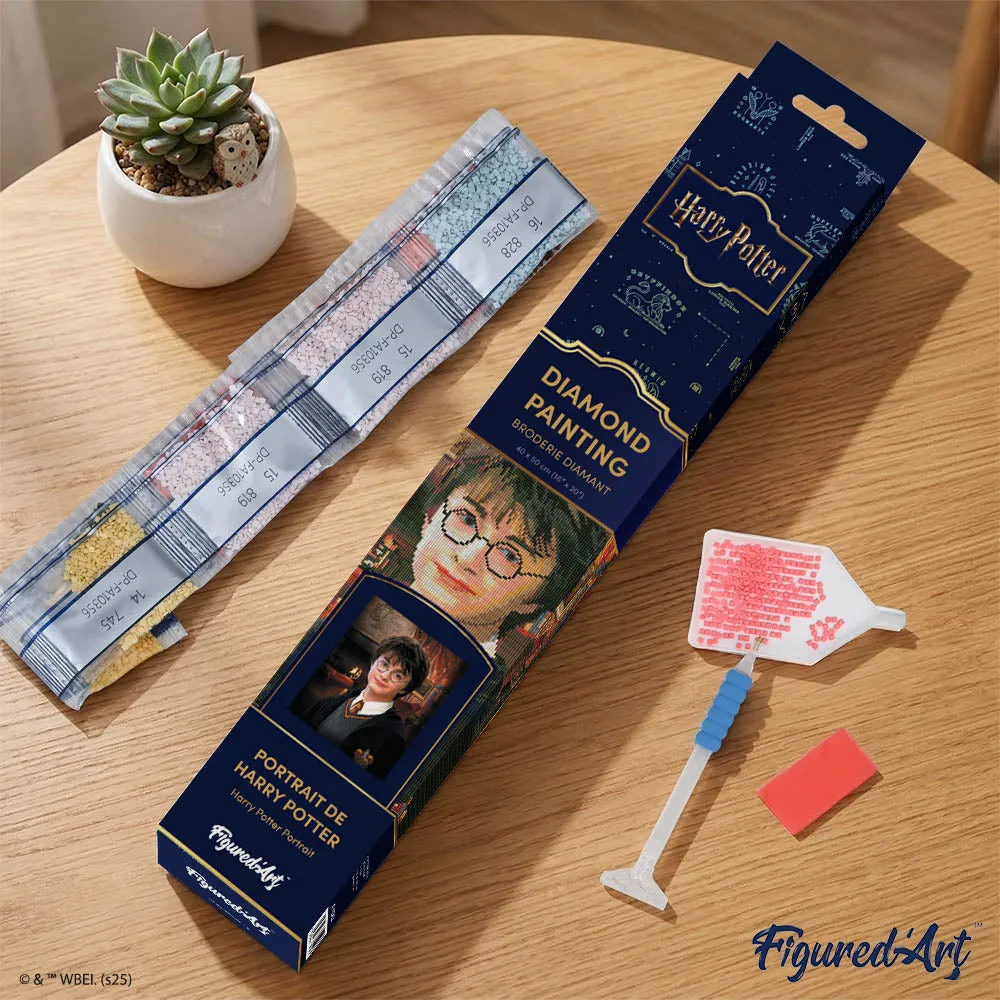Figured'Art Portret van Harry Potter diamond painting 40x50cm full drill