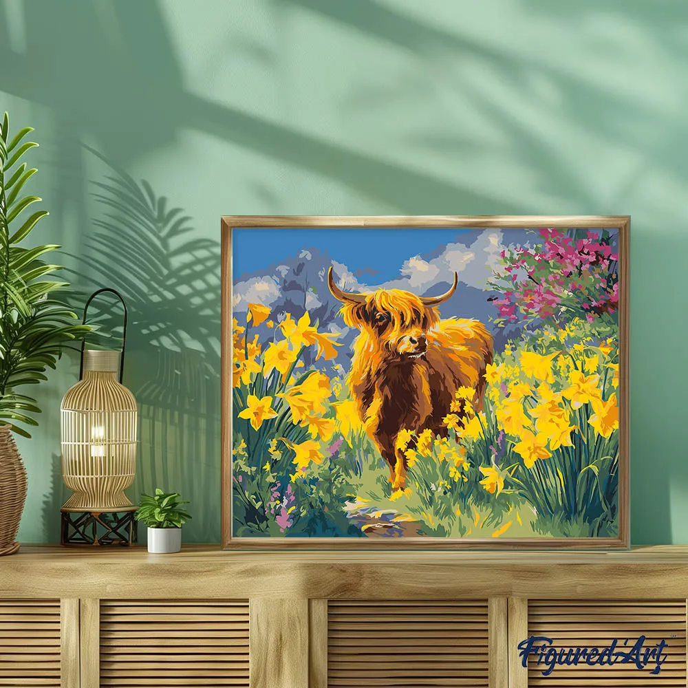 Figured'Art Schotse Hooglander met Narcissen schilderen 40x50 cm