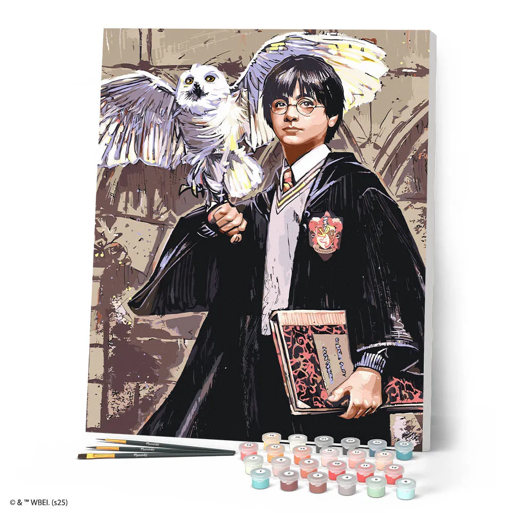 Figured'Art Harry Potter en Hedwig schilderen op nummer 40x50 cm