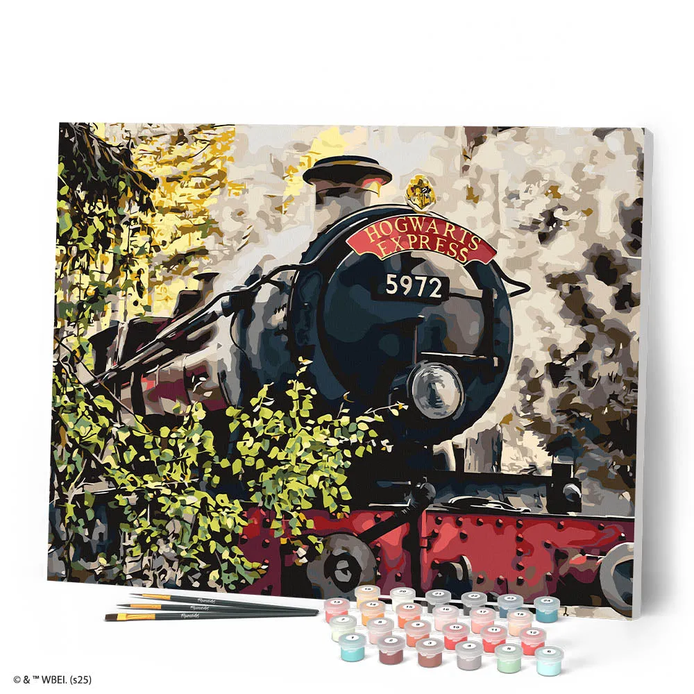 Figured'Art Harry Potter Hogwarts Express schilderen op nummer 40x50 cm