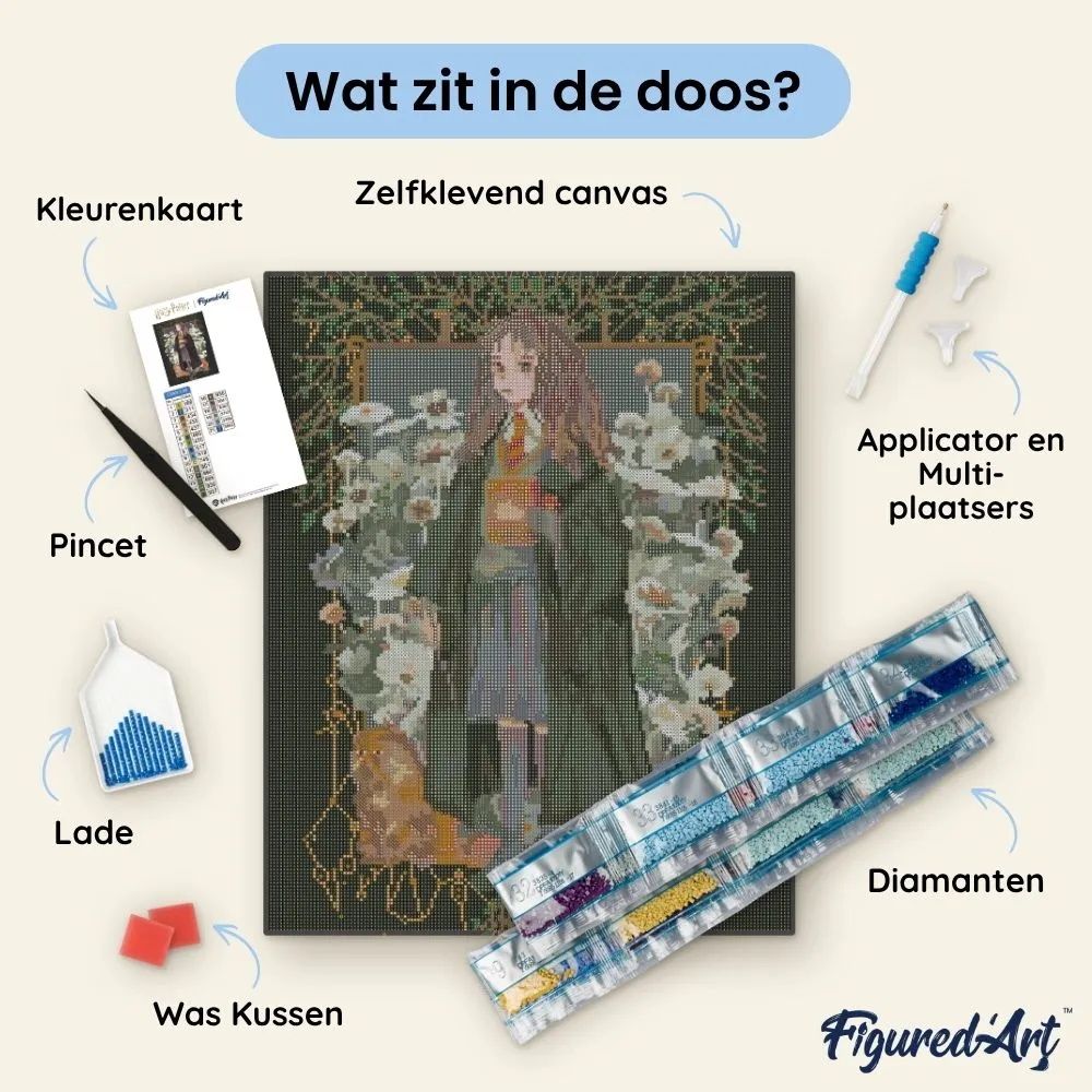 Figured'Art Hermione Granger Yume diamond painting 40x50 ingelijst
