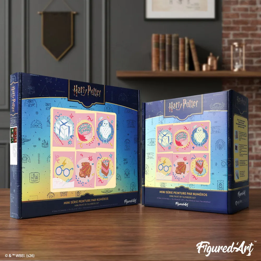 Figured'Art Gefeliciteerd Harry Potter schilderen op nummer 15x20cm 6 stuks
