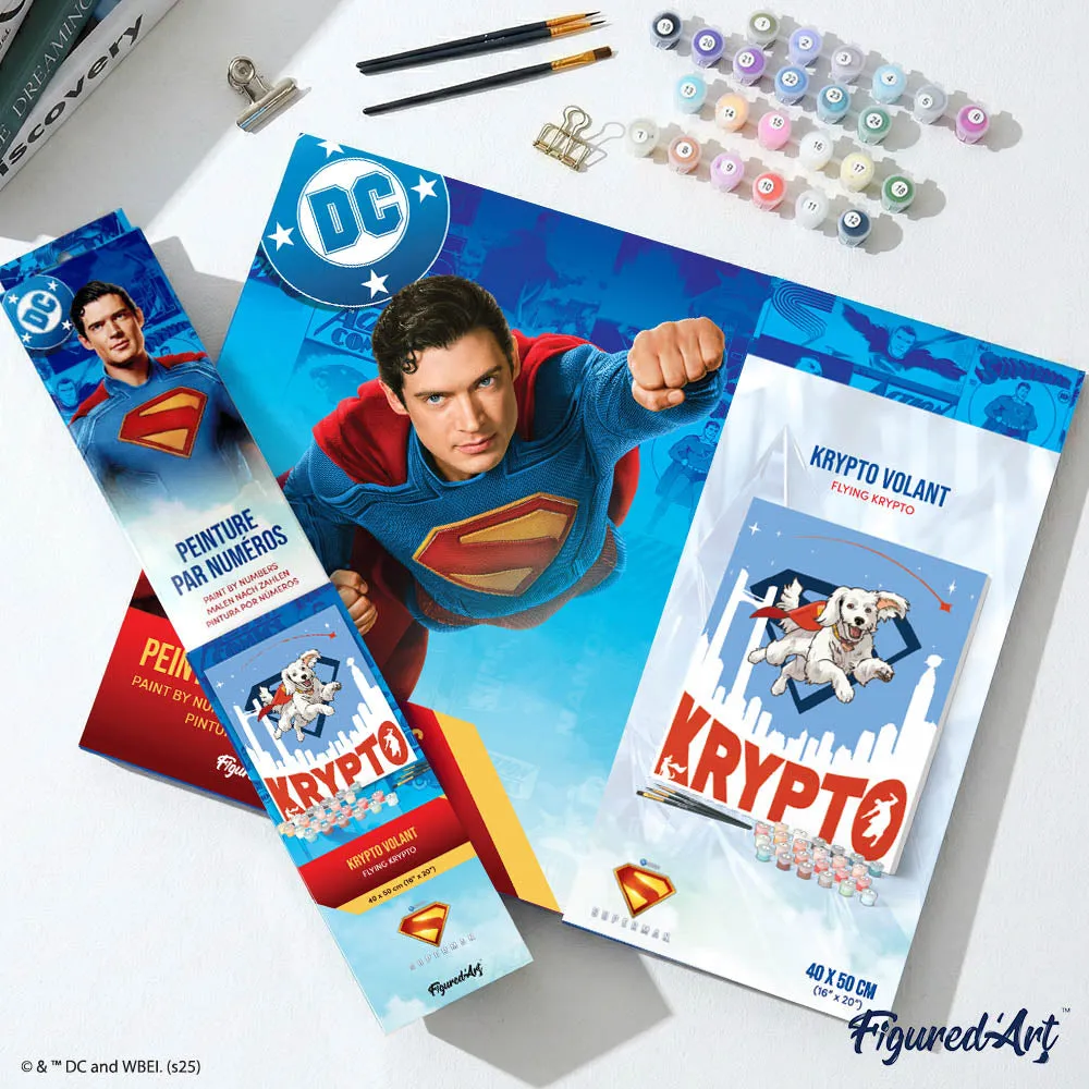 Figured'Art Superman Vliegende Krypto schilderen op nummer 40x50 cm