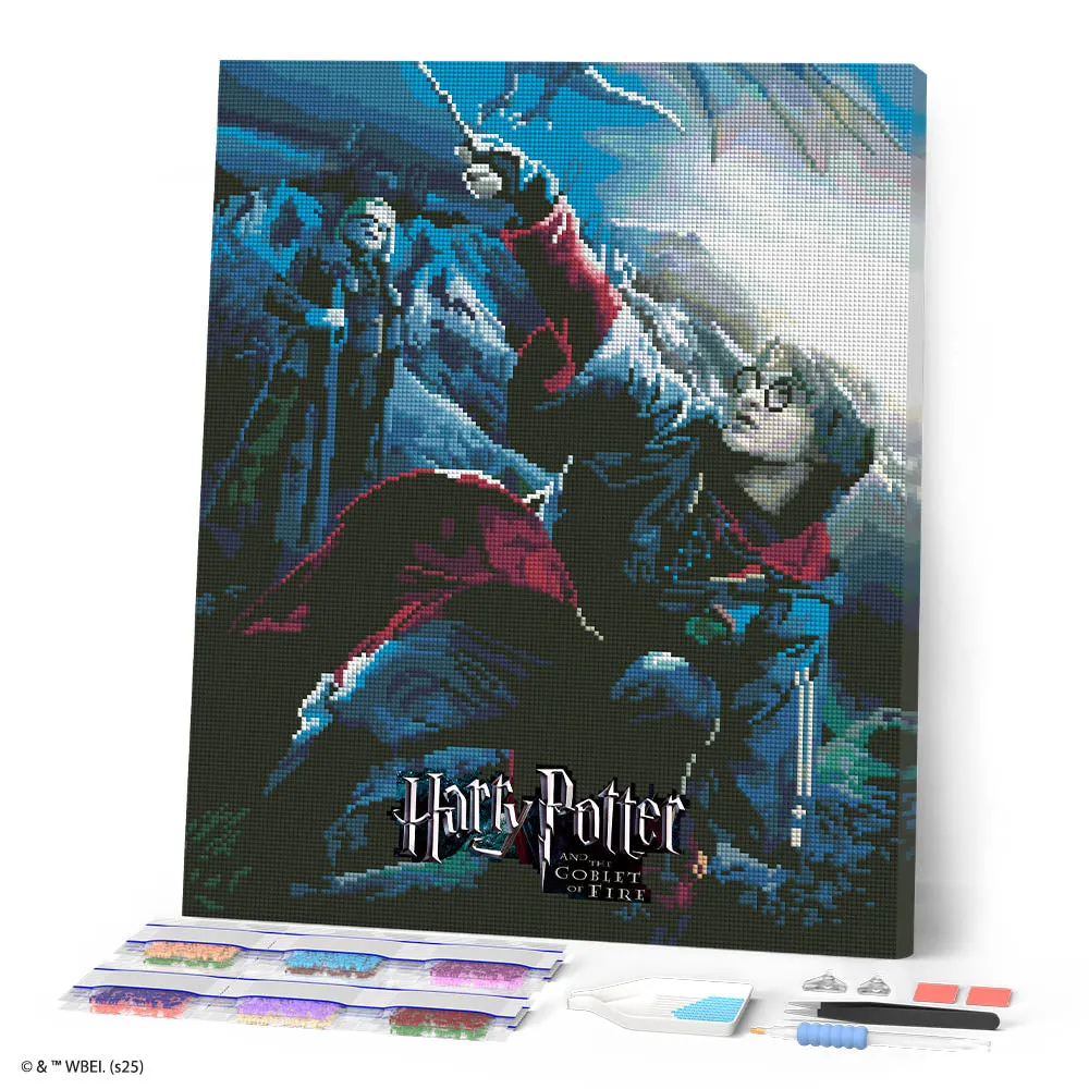 Figured'Art Harry Potter Vuurbeker Diamond Painting Film
