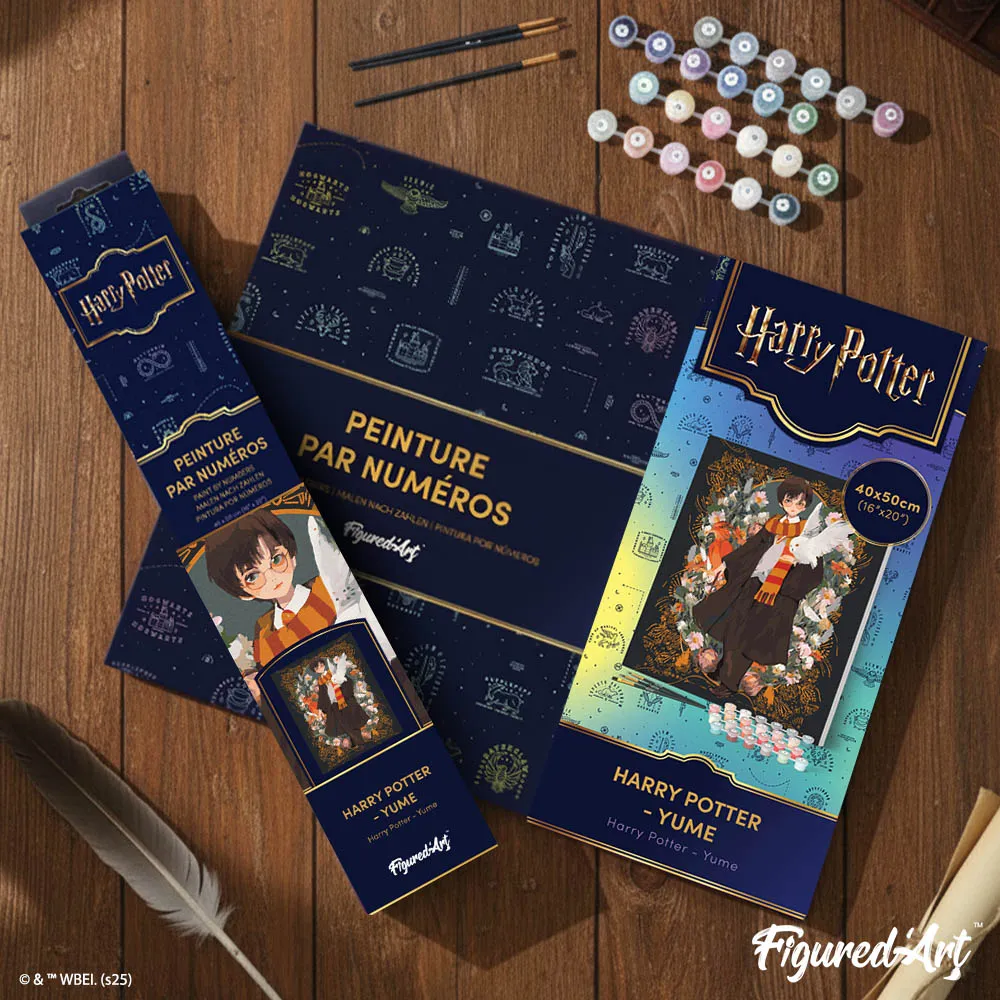 Figured'Art Harry Potter Yume schilderen op nummer 40x50cm gevorderd
