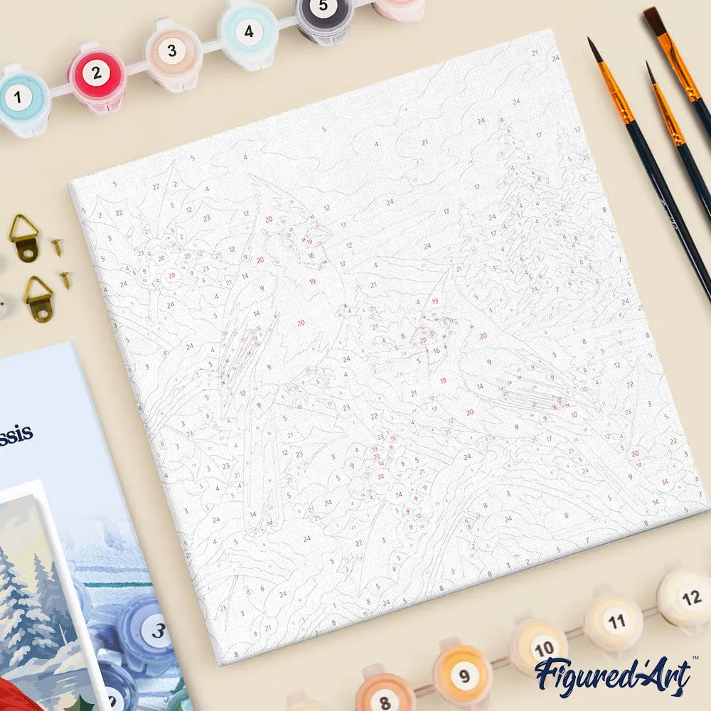 Figured'Art Winterkardinalen mini schilderen op nummer met frame
