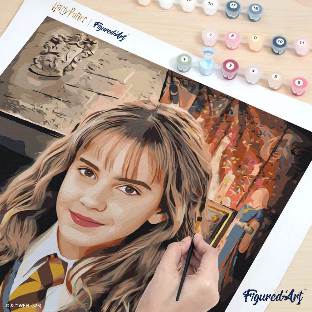Figured'Art Harry Potter Hermione schilderen op nummer 40x50 cm
