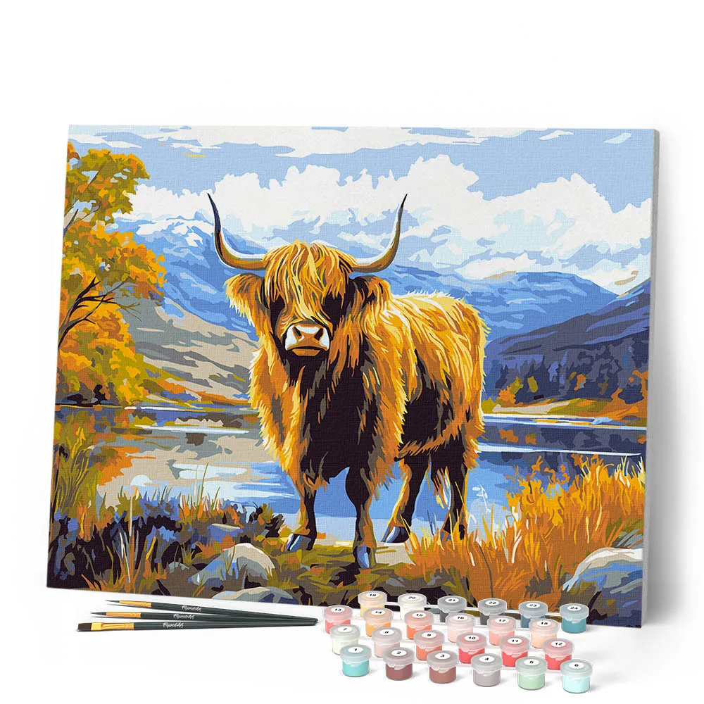 Figured'Art Schotse Hooglander schilderen op nummer 40x50 cm koe
