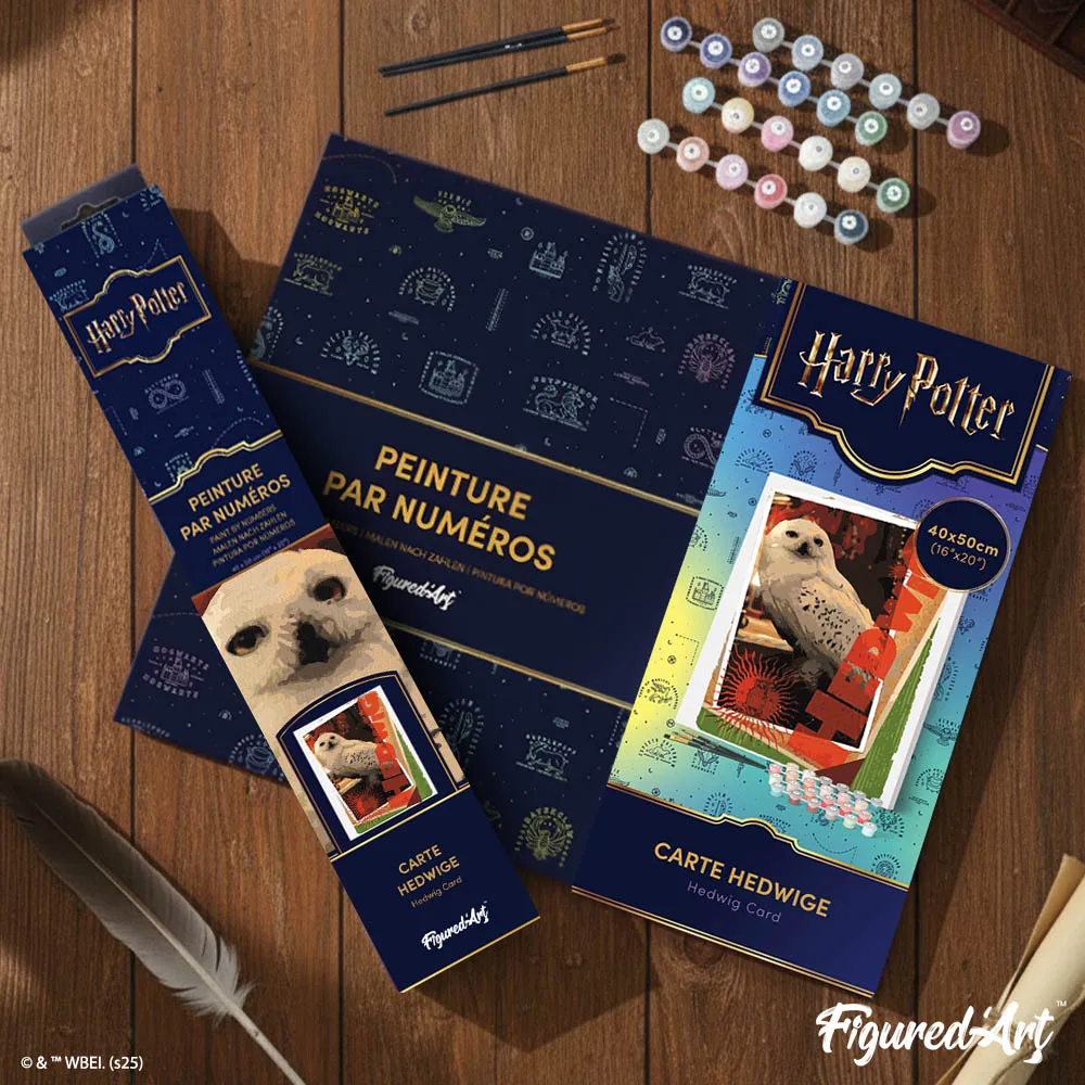 Figured'Art Harry Potter Hedwig-kaart schilderen op nummer 40x50cm