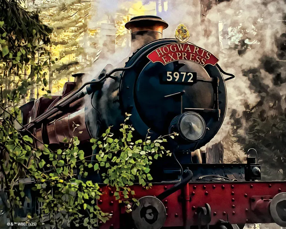 Figured'Art Hogwarts Express diamond painting 40x50cm ingelijst
