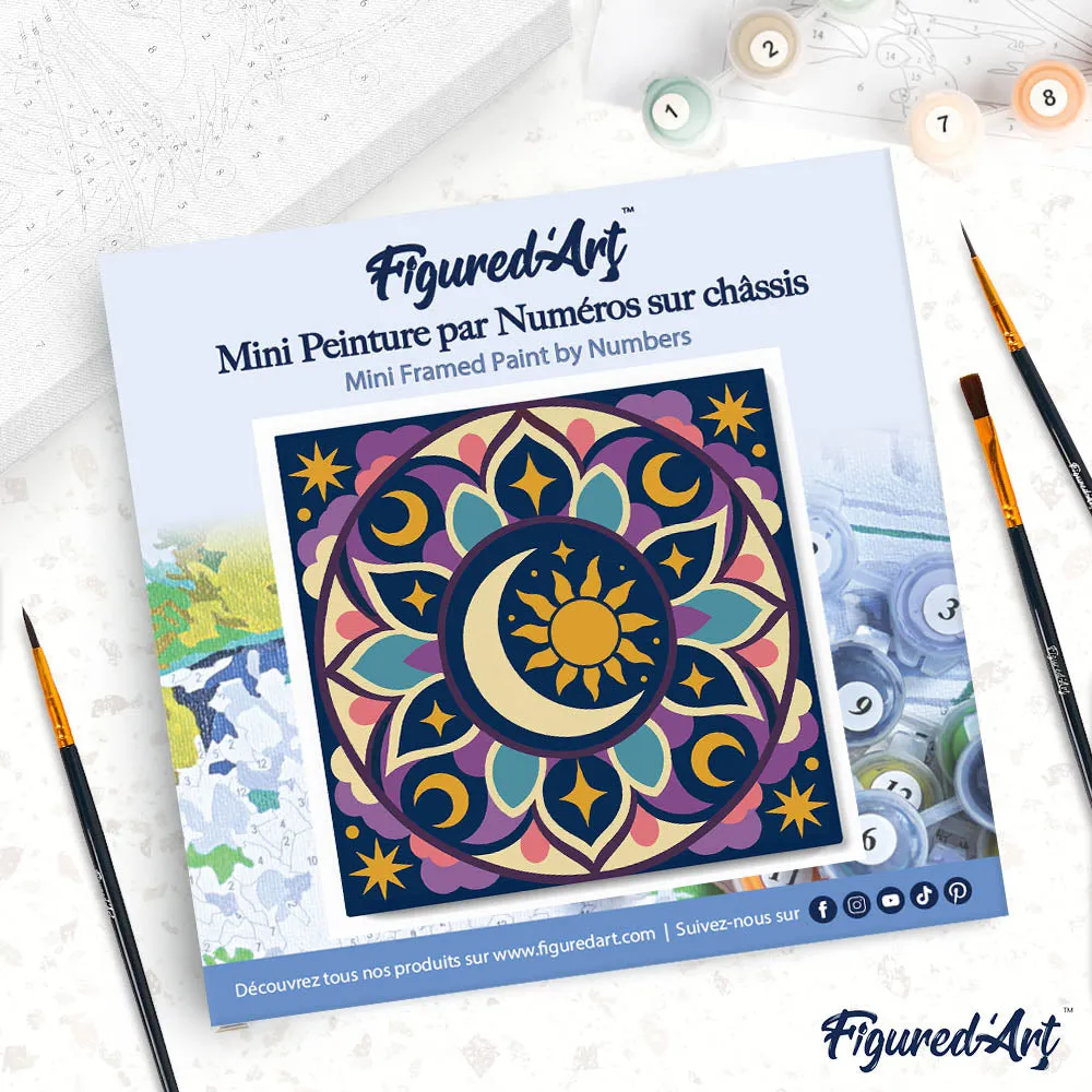 Figured'Art Hemelse mandala mini canvas 20x20 cm met frame