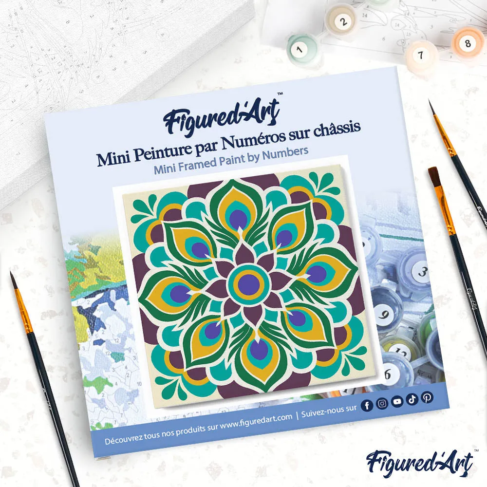 Figured'Art Pauwenmandala mini schilderen op nummer 20x20cm frame