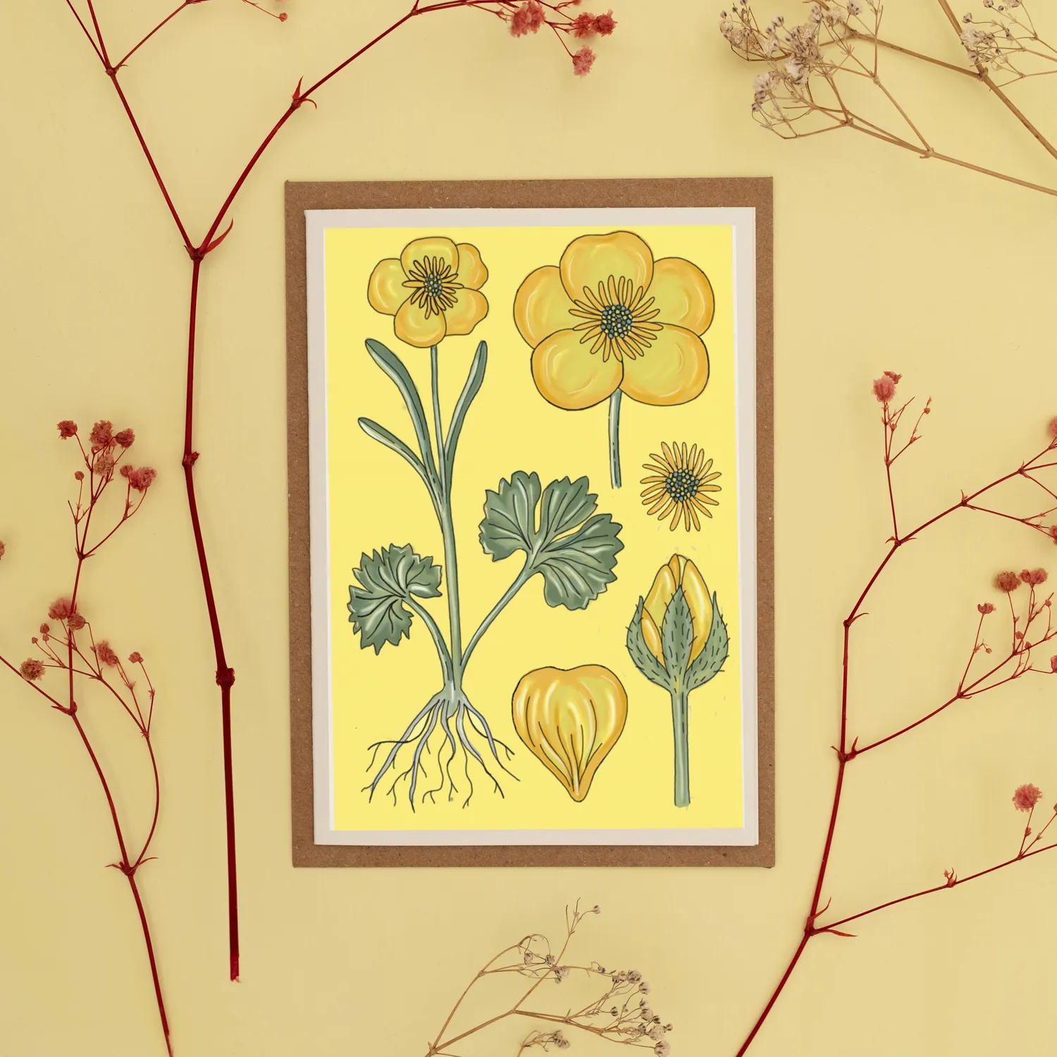 Studio Wald A6 Card Vintage Buttercup wenskaart blanco botanisch