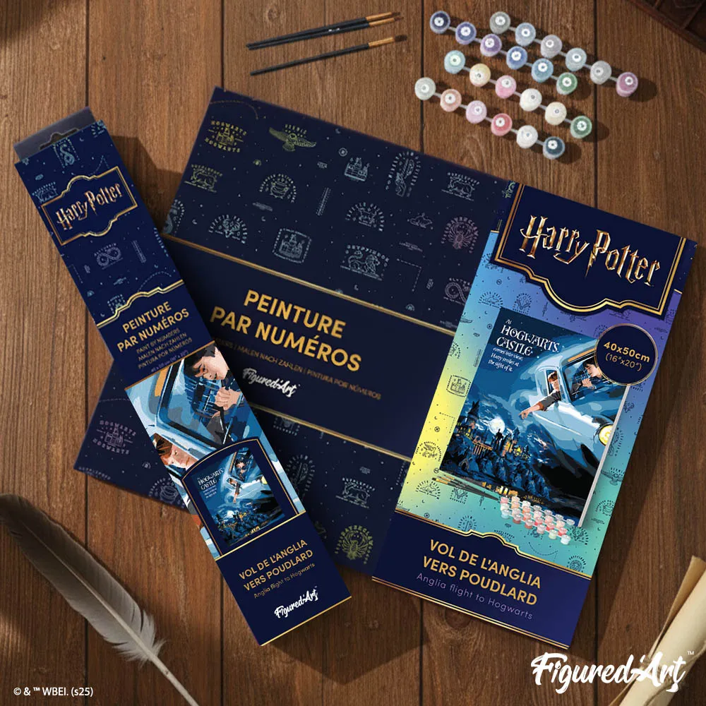 Figured'Art Harry Potter Vlucht naar Hogwarts nummer 40x50 cm