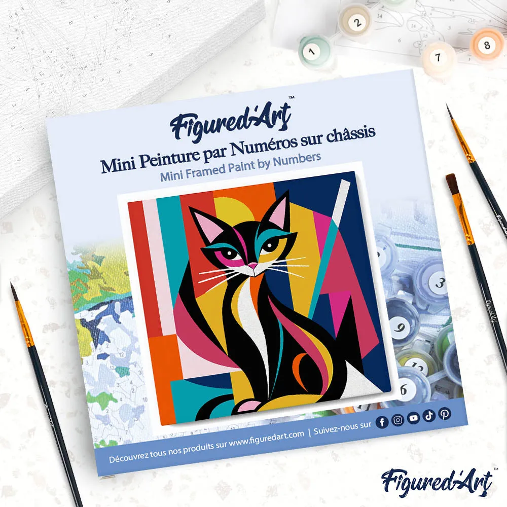 Figured'Art Abstracte Kat Mini Schilderen op Nummer 20x20 Frame