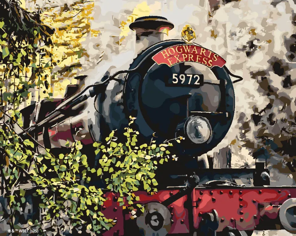 Figured'Art Harry Potter Hogwarts Express schilderen op nummer 40x50 cm