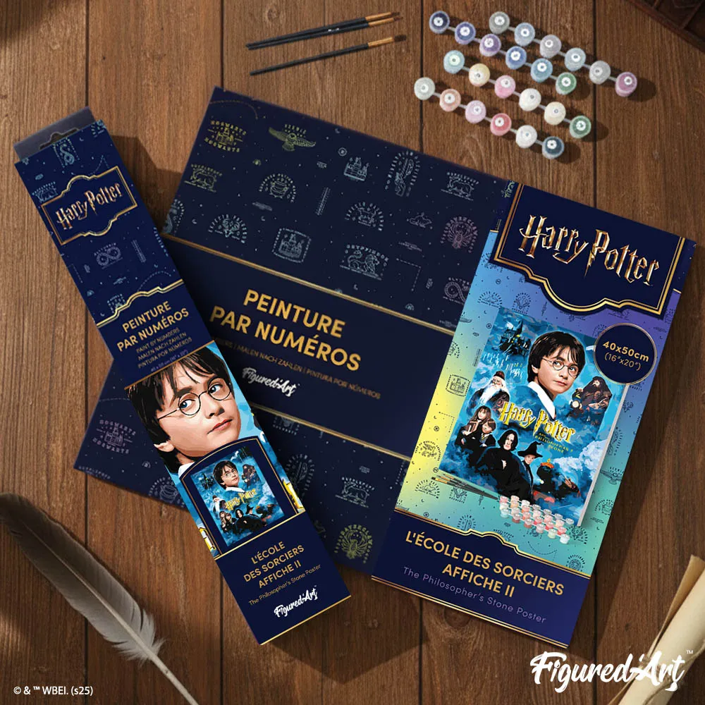 Figured'Art Harry Potter Steen der Wijzen schilderij 40x50cm