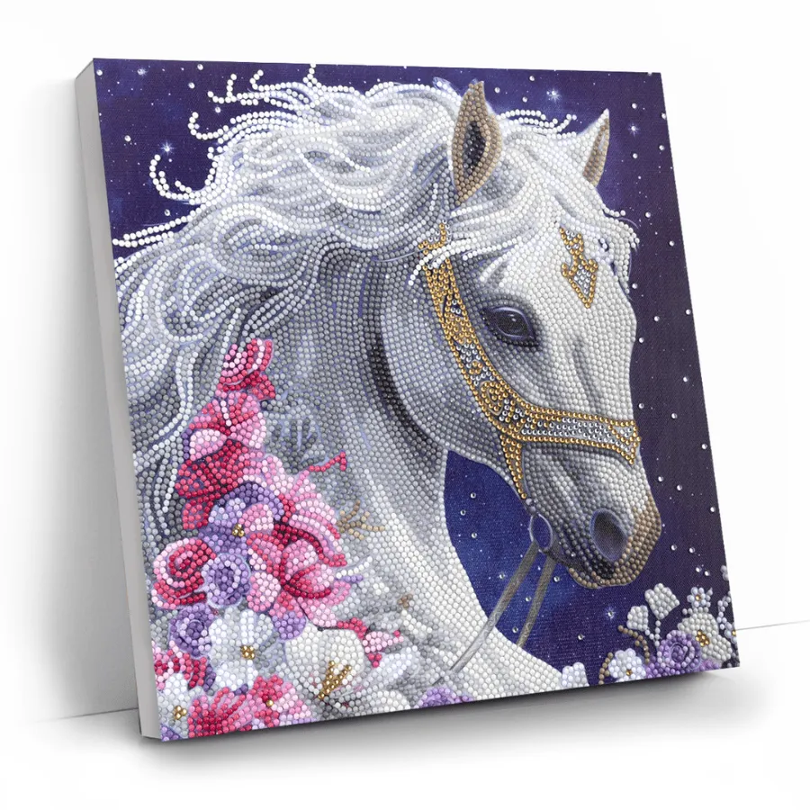 Craft Buddy Crystal Art Mystic Beauty canvas 30x30 cm partial