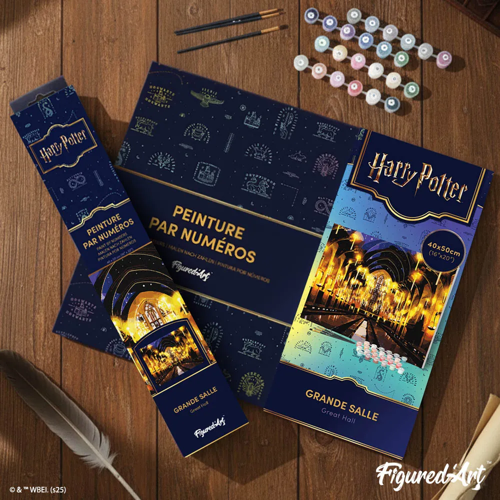 Figured'Art Harry Potter Grote Zaal schilderen op nummer 40x50cm
